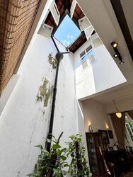 Anthony Road (D9), Terrace #636115391